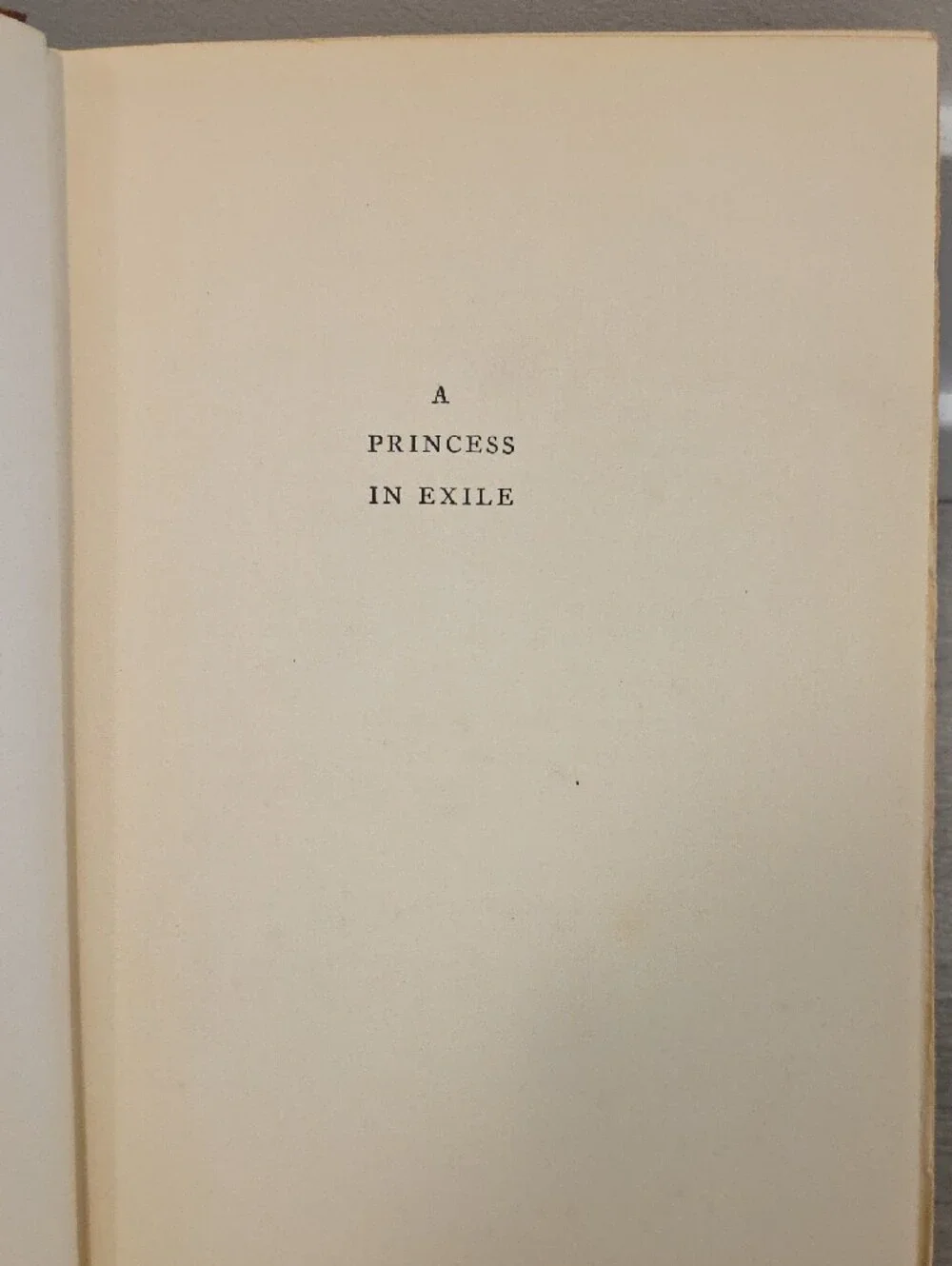 A Princess in Exile - Brown Hardcover Book